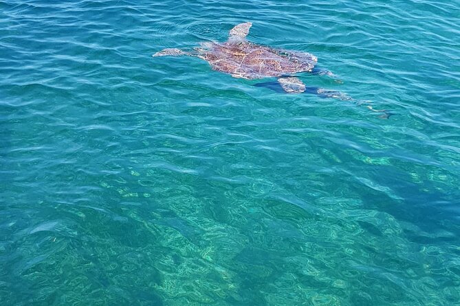 Honor Roll Private Bahamas Boat Charter - A private boat day from Paradise Island