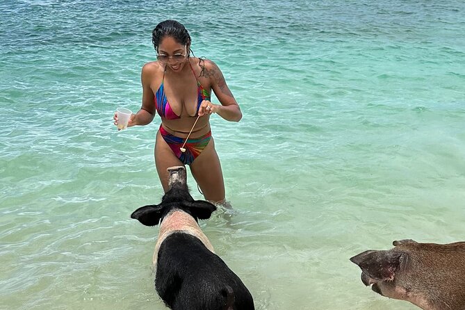 Luxury Catamaran Cruise: Sip, Sail, Snorkel, and Swim with Pigs! - Tropical Breeze at a Glance