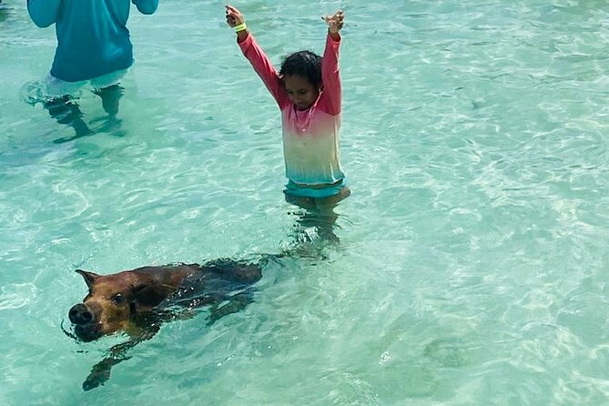 Luxury Catamaran Cruise: Sip, Sail, Snorkel, and Swim with Pigs! - Why This Six-Hour Cruise Works So Well