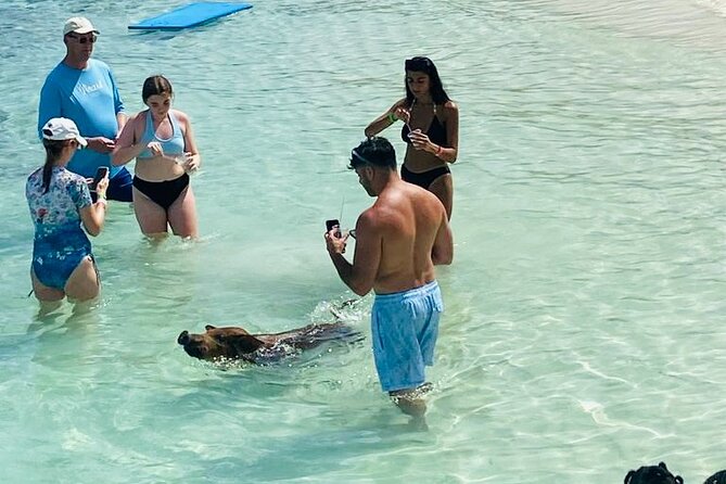 Luxury Catamaran Cruise: Sip, Sail, Snorkel, and Swim with Pigs! - Reef Snorkeling with Gear Provided