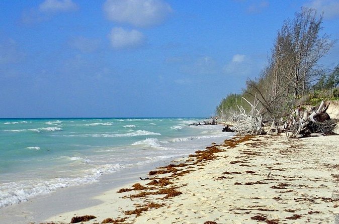 Mamma Gal Celeb-Key Native Exp. Shared Tour - Who will enjoy this tour most?