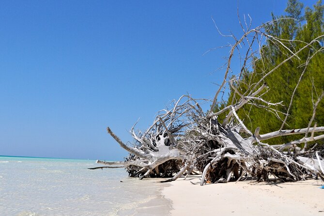 Mamma Gal Celeb-Key Native Exp. Shared Tour - A small shared group, not a private car
