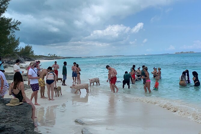 Nas: 3 islands Tour ,snorkel, Turtles, pigs and lunch - The crew can make or break the day