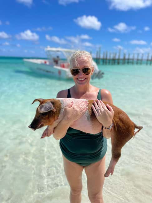 Nassau: 3-Island Snorkel Tour with Pigs, Beach Club, & Lunch - Green Cay and the sea turtle snorkel