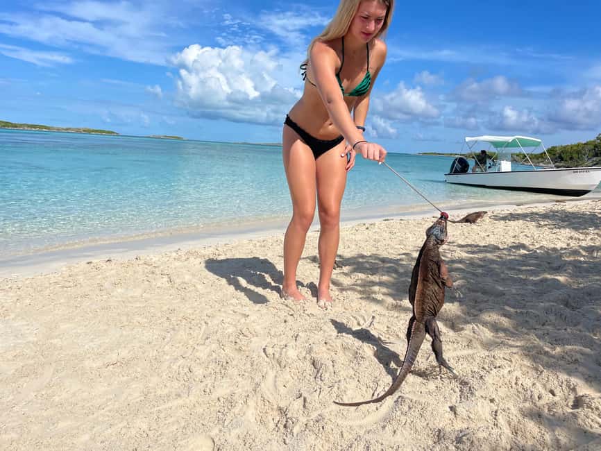 Nassau: 3 Islands Boat w/ Swimming Pigs, Snorkeling & Turtle - How the Three Hours Actually Feel