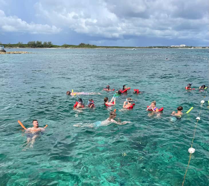 Nassau: 3 Islands Boat w/ Swimming Pigs, Snorkeling & Turtle - Is $175 a Fair Price?