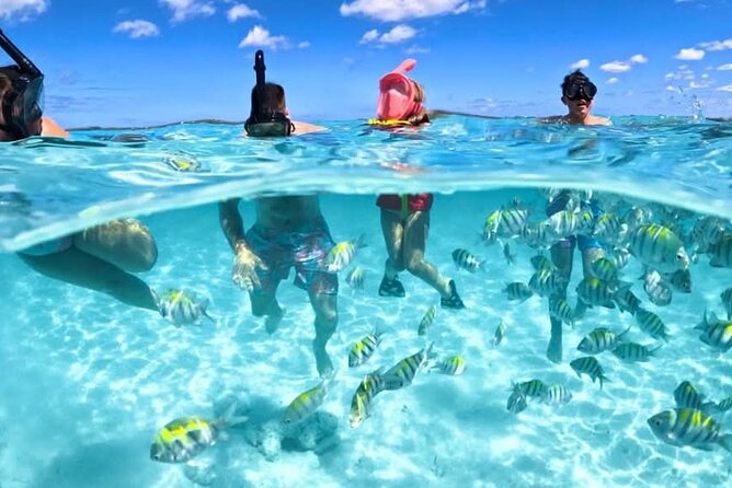 Nassau: 3 islands Pigs,Turtles,Snorkel & Beach Club with lunch - Quick facts about the Nassau island tour