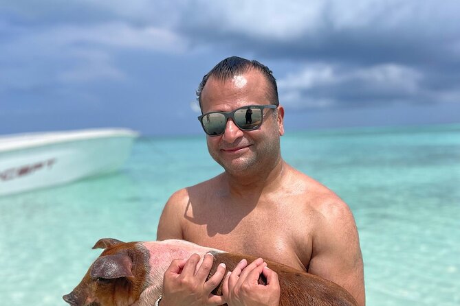 Nassau: 3 islands Pigs,Turtles,Snorkel & Beach Club with lunch - Timing for cruise passengers