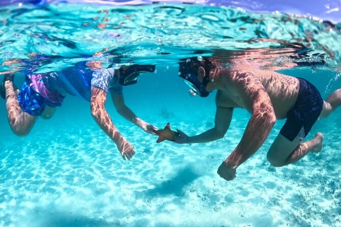 Nassau: 3 islands Pigs,Turtles,Snorkel & Beach Club with lunch - Pearl Island reef: your first look underwater