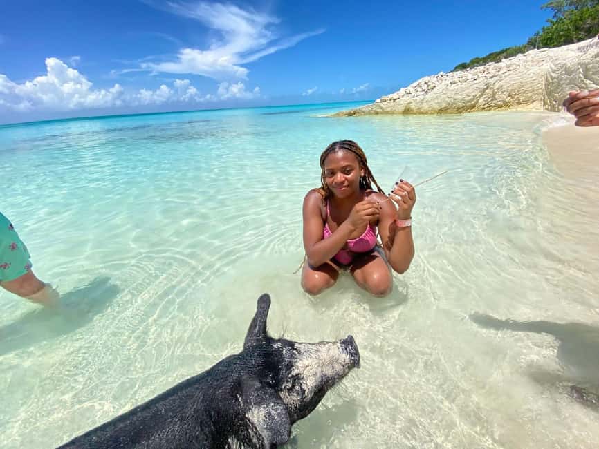 Nassau: 3 Islands Tour, Snorkel, Pig Beach, Turtles & Lunch - Key details before you book