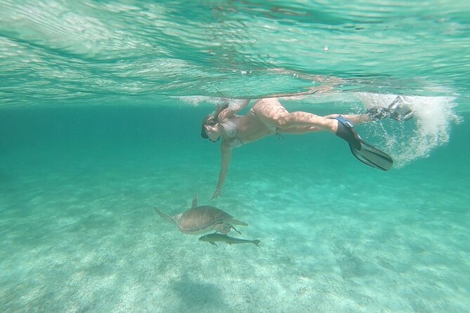 Nassau 3-stops: Snorkeling, Swimming Pigs, Turtles & Lunch - Who will enjoy this catamaran trip