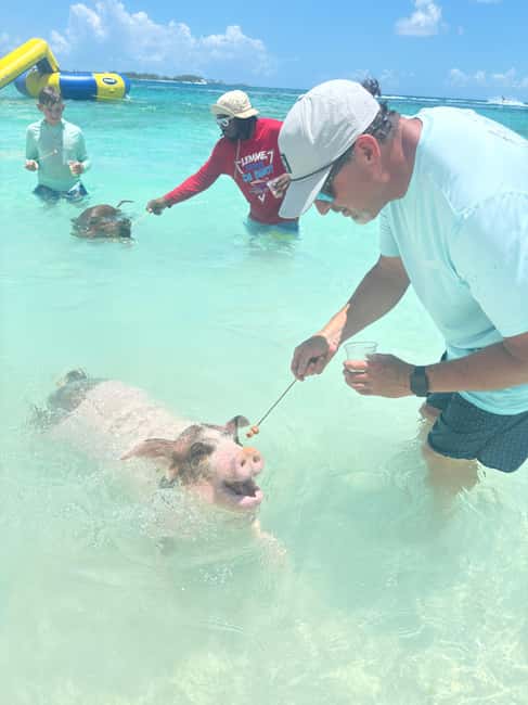 Nassau: 4-Island Tour Swimming Pigs, turtles, snorkeling - Key points at a glance