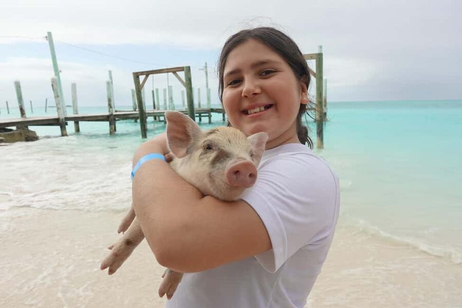 Nassau ATV & Swimming Pigs Tour - Key points at a glance