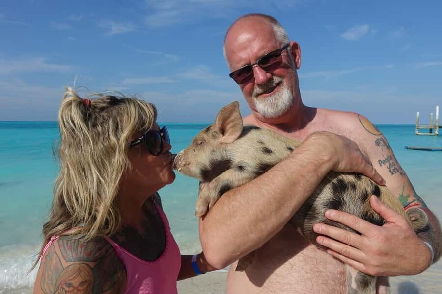 Nassau ATV & Swimming Pigs Tour - Sweets, rum cake, and guava duff