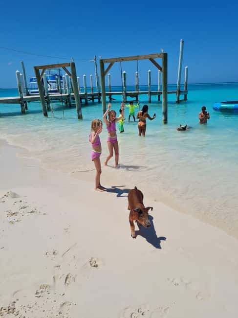 Nassau ATV & Swimming Pigs Tour - How much value do you get for $280?