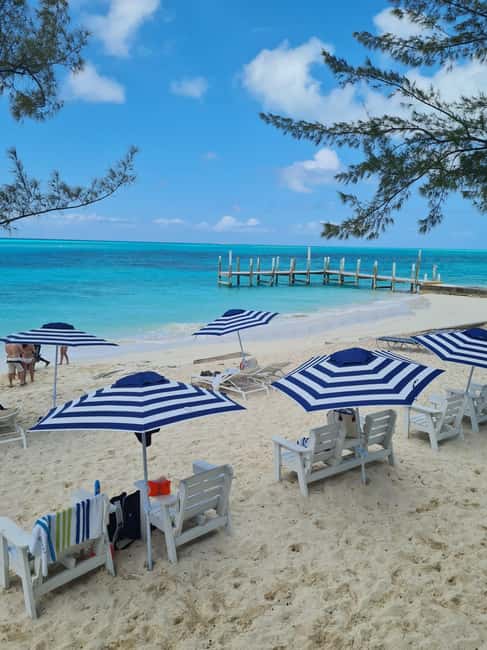 Nassau ATV & Swimming Pigs Tour - Who will enjoy this full Nassau day?