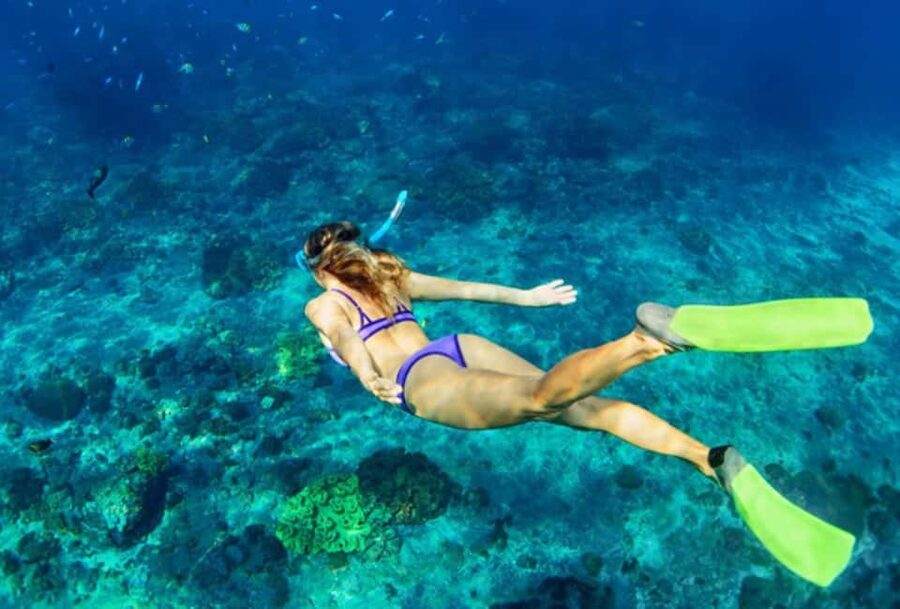 Nassau: Catamaran Sail and Snorkel Tour - A three-and-a-half-hour outing built around the reef
