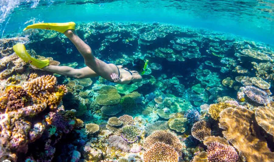 Nassau: Catamaran Sail and Snorkel Tour - Is $103 a fair price?