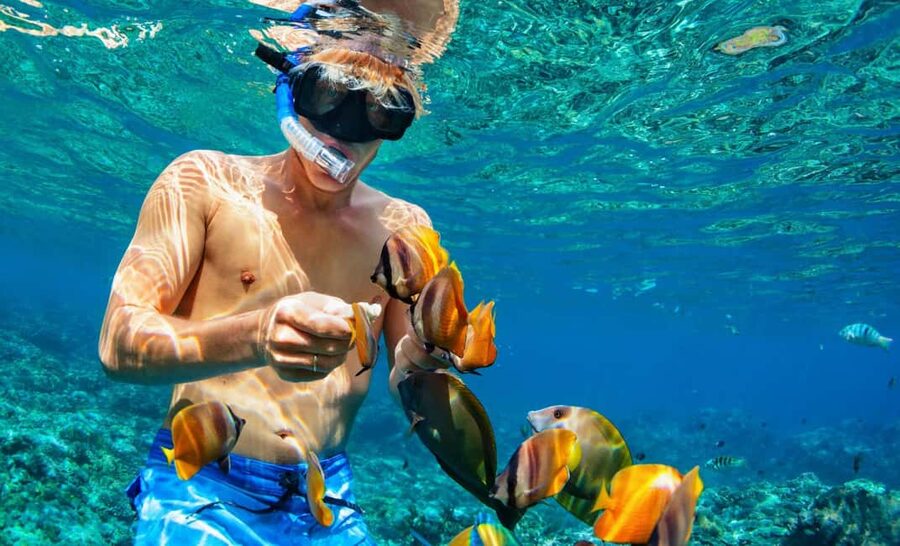Nassau: Catamaran Sail and Snorkel Tour - Who will enjoy this Nassau tour most?