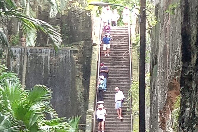 Nassau City Tour - Quick reasons to consider this Nassau tour
