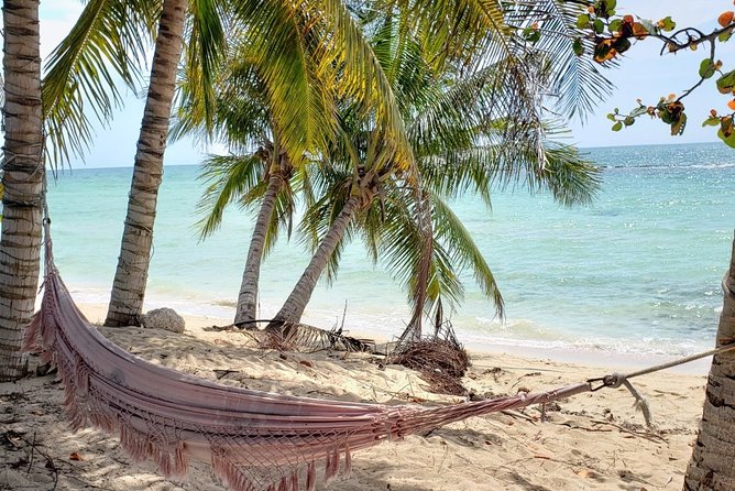 Nassau City Tour: 7 Attractions in the Bahamas - Walking up the Queen’s Staircase