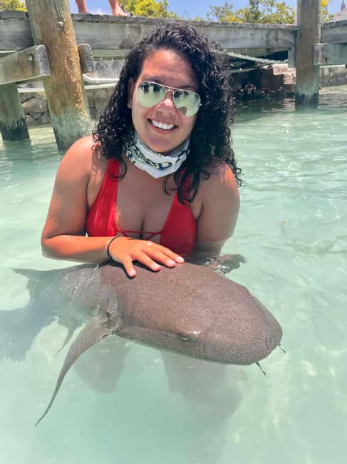 Nassau: Discover Exuma Island Hopping and Swimming Pigs Tour - Why this Exuma day trip works so well