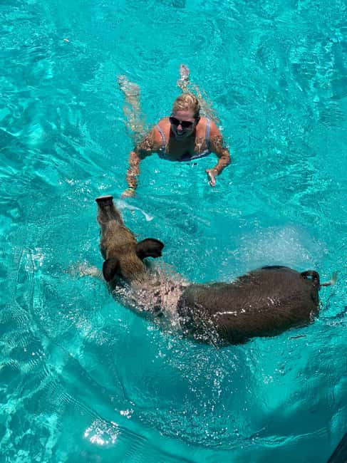 Nassau: Discover Exuma Island Hopping and Swimming Pigs Tour - Snorkeling the plane wreck near Norman’s Cay