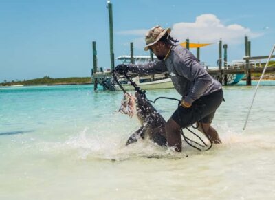 Exuma Powerboat Day Trip