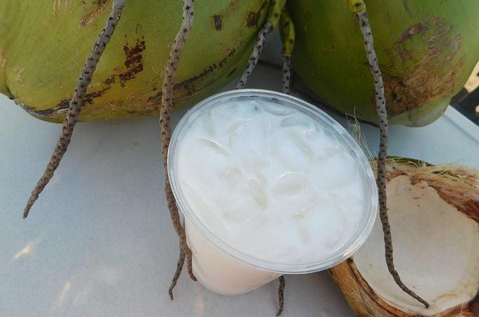 Nassau Food and History Bus Tour - Conch, bush tea, and the local food story