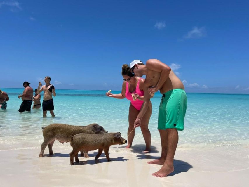 Nassau: Half-Day Guided Cay Cruise, Sea Life Watch & Snorkel - Boat comfort, crew help, and what is included