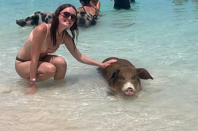 Nassau: Half Day Reef Snorkeling, Turtles & Swimming Pigs - Is $210 per person a fair price?