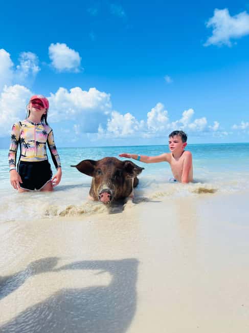 Nassau: Half-Day Swimming Pigs, Reef Snorkel & Beach Club - Key points to know before you book