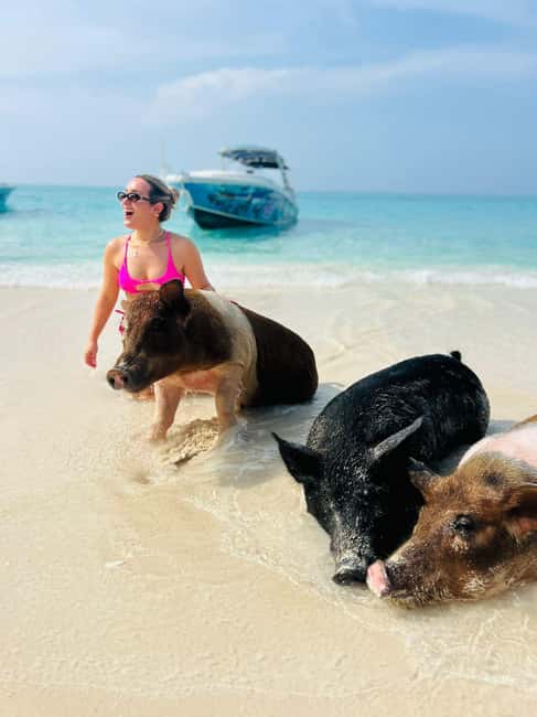 Nassau: Half-Day Swimming Pigs, Reef Snorkel & Beach Club - Turtle watching at Green Cay is short but worthwhile