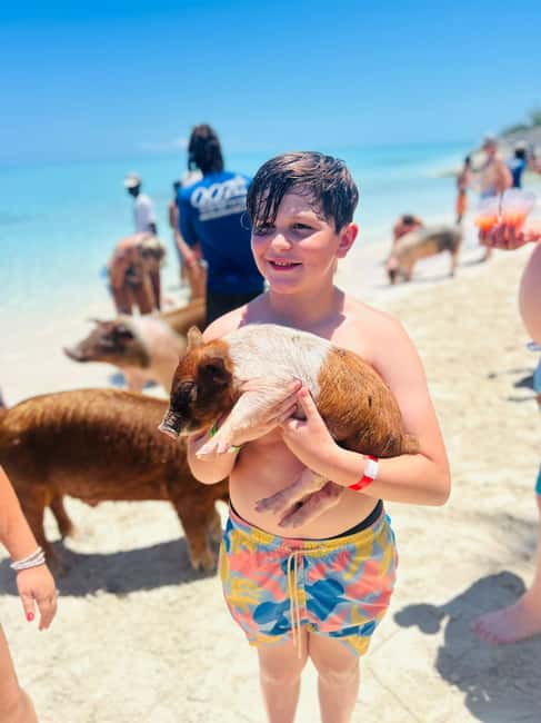 Nassau: Half-Day Swimming Pigs, Reef Snorkel & Beach Club - Rose Island is the heart of the four-hour outing