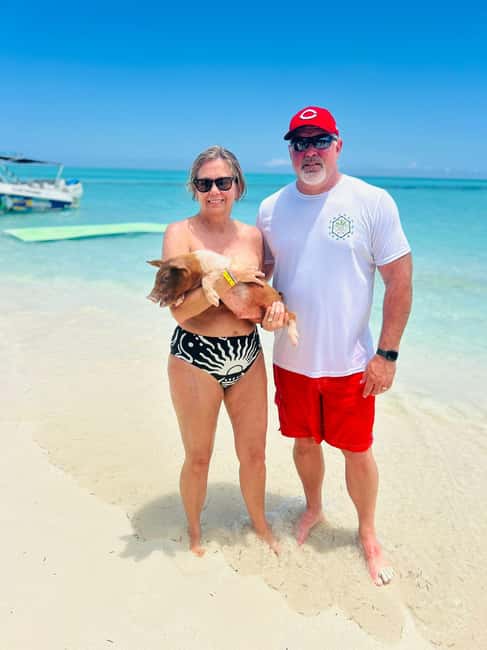 Nassau: Half-Day Swimming Pigs, Reef Snorkel & Beach Club - What the swimming pig stop is really like