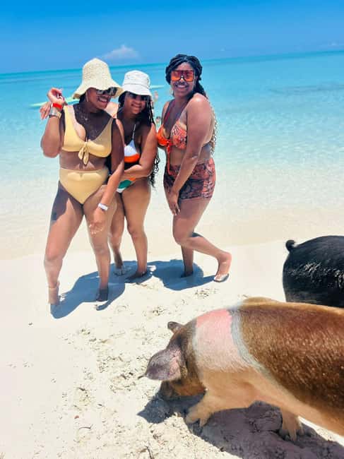 Nassau: Half-Day Swimming Pigs, Reef Snorkel & Beach Club - The powerboat makes the island hopping practical