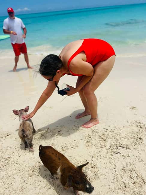 Nassau: Half-Day Swimming Pigs, Reef Snorkel & Beach Club - Is $189 a fair price?