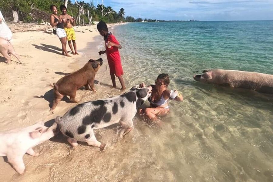 Nassau: Island Hopping Boat Trip with Lunch & Drinks - Key points at a glance