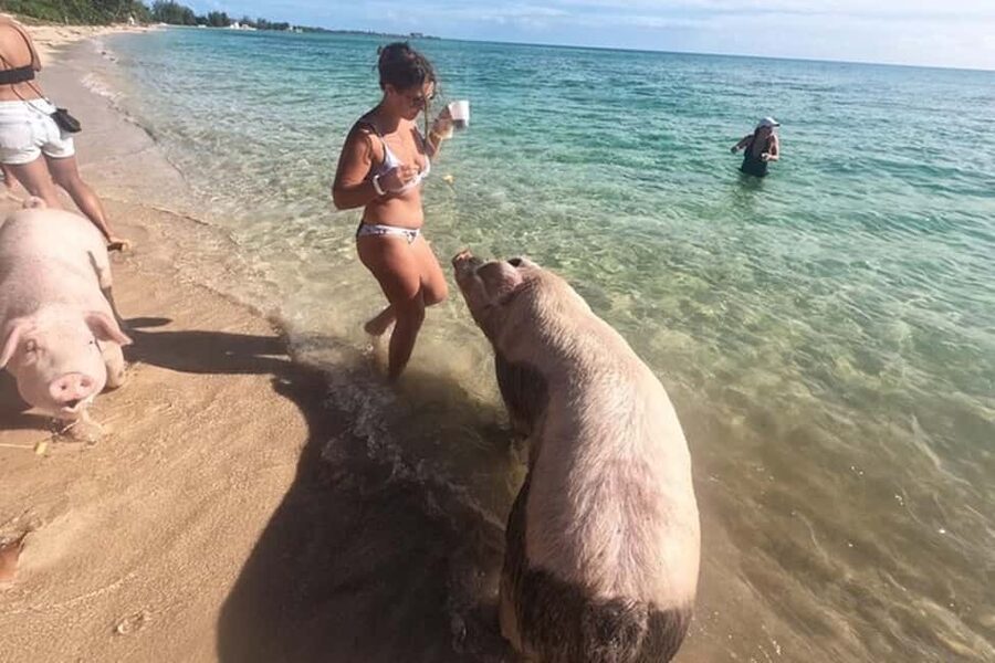 Nassau: Island Hopping Boat Trip with Lunch & Drinks - Is $249 a fair price?
