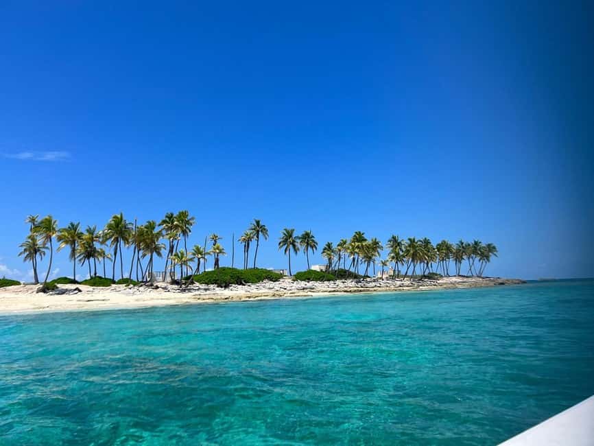 Nassau: Island Hopping Boat Trip with Lunch & Drinks - Pig Beach, the tour’s big payoff
