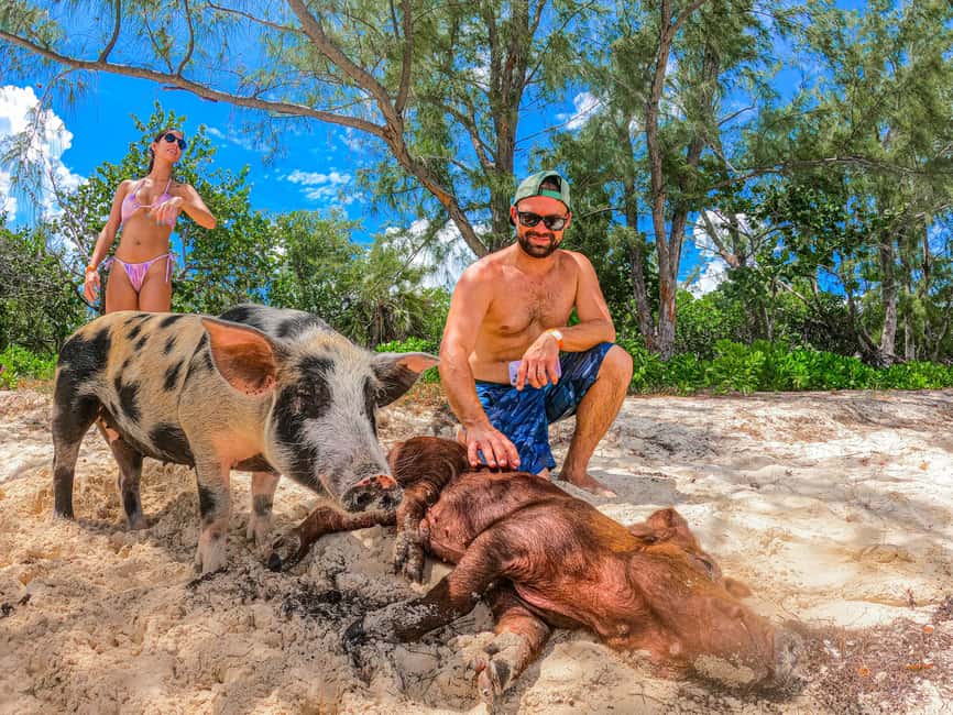 Nassau: Pigs Beach Trip by Boat with Swimming and Feeding - Pearl Island gives the trip a second act