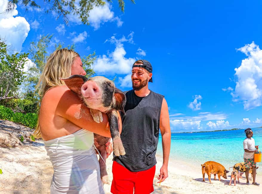 Nassau: Pigs Beach Trip by Boat with Swimming and Feeding - Is $79 good value?