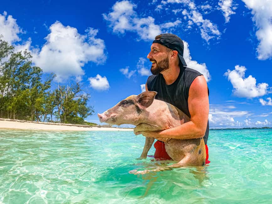 Nassau: Pigs Beach Trip by Boat with Swimming and Feeding - Meeting the swimming pigs at Athol Island