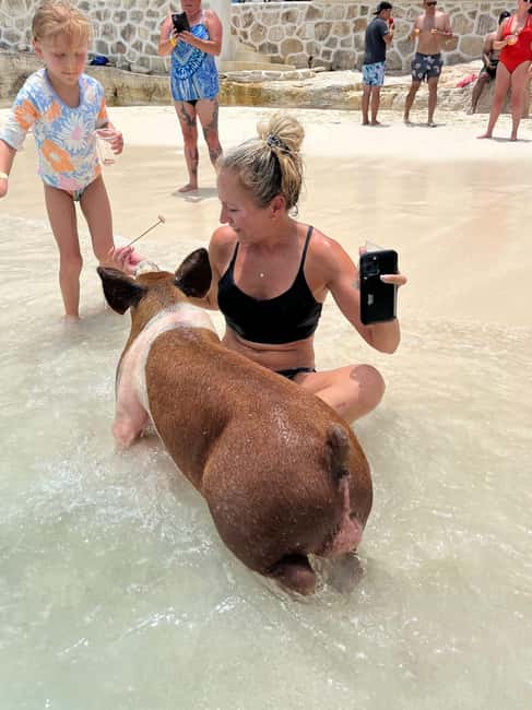 Nassau: Pigs, Snorkel, Turtles, Lunch, Private Beach Club - Reef snorkeling between Pearl Island and Rose Island