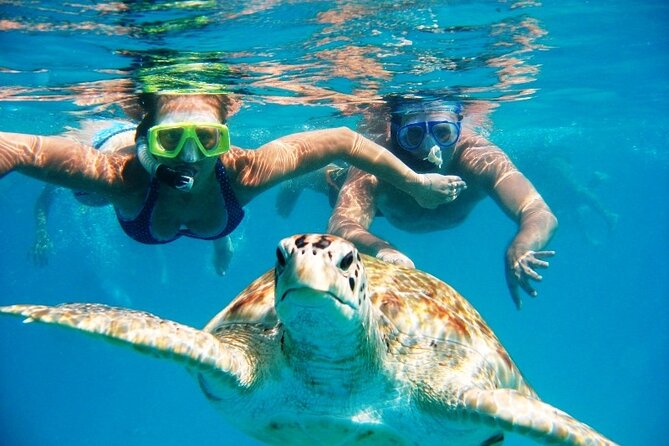 Nassau: Private Island & Snorkeling, Turtles, Drinks & BBQ - Key points to know before booking