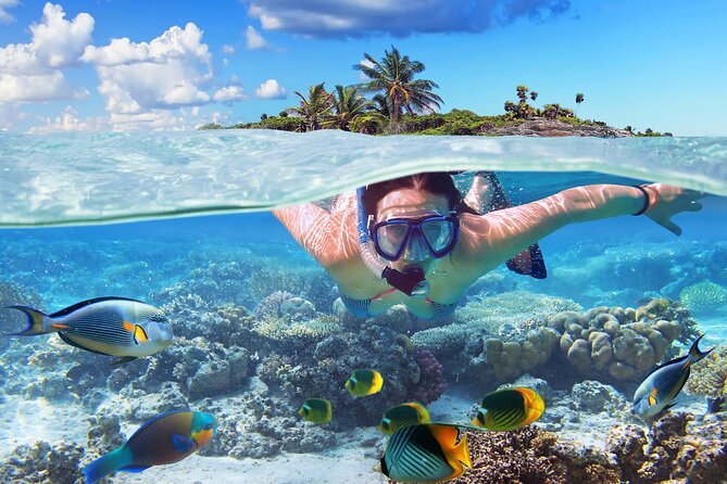 Nassau: Private Island & Snorkeling, Turtles, Drinks & BBQ - From Margaritaville Marina to Pearl Island