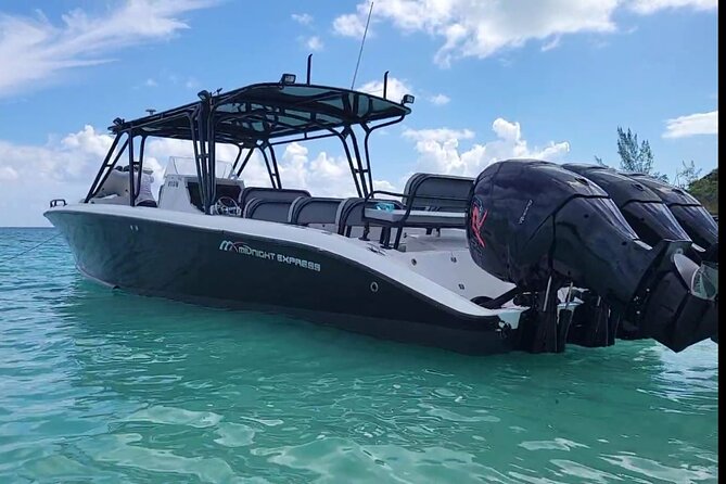 Nassau: Private Island & Snorkeling, Turtles, Drinks & BBQ - What the snorkeling is really like