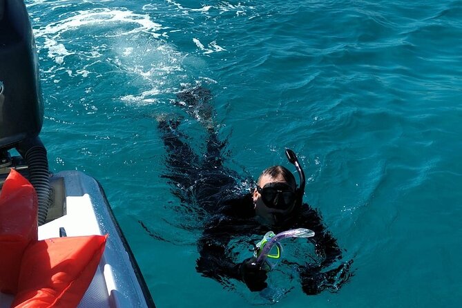 Nassau: Private Island & Snorkeling, Turtles, Drinks & BBQ - Who should book this Nassau boat trip?