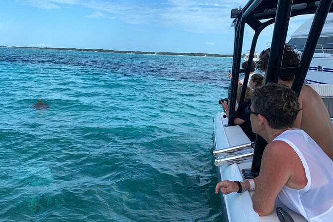 Nassau: Private Island & Snorkeling, Turtles, Drinks, & BBQ - Pearl Island Reef: a short but worthwhile snorkel