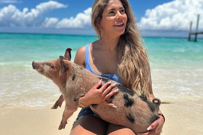 Nassau, Private Swimming Pig, Island Hopping, Snorkeling, Turtles - A private way to see Nassau’s nearby cays